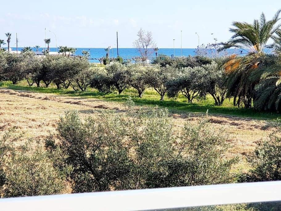 Villa Utopia Paphos Eksteriør bilde